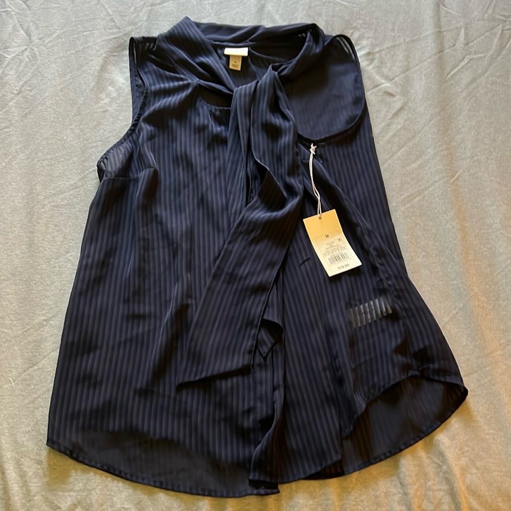 A New Day Sheer Blouse